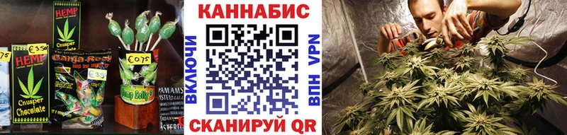 Купить где  Нестеров  Cannafood конопля 