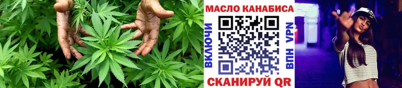 Купить где  Нестеров  ТГК вейп 