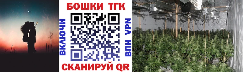 Купить закладки  Нестеров  Бошки Шишки план 
